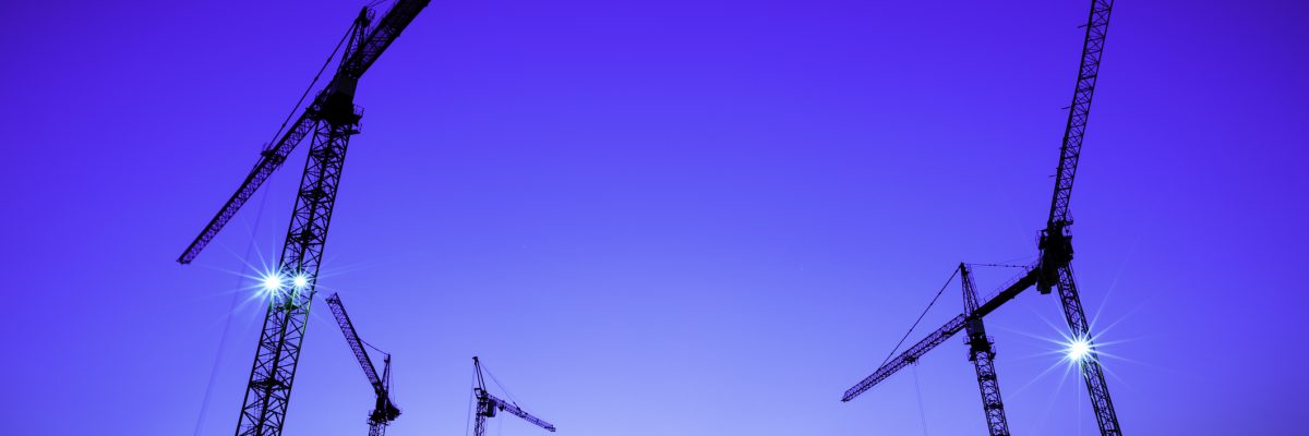 cranes over clear sky at sunset